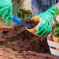 Potting Mix / Potting Soil