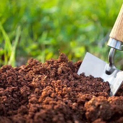 Garden Soil