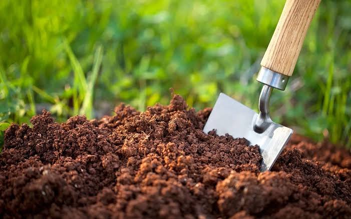 Garden Soil